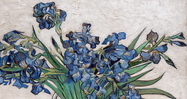 Van Gogh. Irises,1890 (detail)