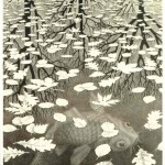Escher. Three worlds, 1955. Lithography