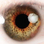 shutterstock_110800367