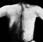 Bart Dorsa Katya – – argento, vetro e lastre fotografiche