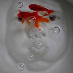 Sculture in ceramica dell’artista di Hong Kong Johnson Tsang