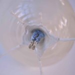 Sculture in ceramica dell’artista di Hong Kong Johnson Tsang