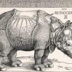 Rinoceronte di Albrecht Durer 1515