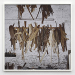 Portare le gambe della sedia 2, 2010, stampa a mano di colore argento gelatina su carta a base di fibre, 40 x 40 pollici.