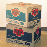 Andy Warhol, Del Monte Boxes, 1964