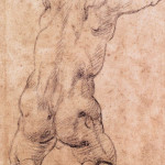 Studio di nudo virile in ginocchiato, 1541 circa, pietra nera su carta, cm. 26,9 x16,9. Casa Buonarroti, Firenze