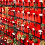 Organic Building, Osaka, 1989-93