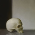 Skull / Schädel