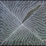 Katheleen Petyarre, 2000 Mountain Devil Lizard Dreaming, cm. 121X121