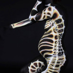 animal-body-art-Artist-Emma-Fay-3