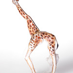 animal-body-art-Artist-Emma-Fay-5