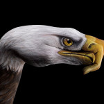 animal-body-art-Artist–Guido-Daniele-3