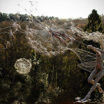 Robin-Wight-Wire-Fairies-by-6 (1)