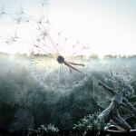 Robin-Wight-fantasywire-wire-fairy-sculptures-robin-wight-19