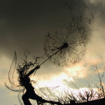 Robin-Wight-fantasywire-wire-fairy-sculptures-robin-wight-22