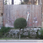 Struzzo, Roma, Italia. Image credits: Pao