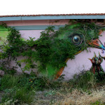 Uccello, Atene, Grecia. Image credits: WD. street.art