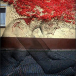 quand-le-street-art-se-met-au-vert-et-se-mele-a-la-nature-14