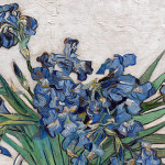 Van Gogh. Irises,1890 (detail)