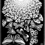 Escher. Butterflies, 1950. Engraving
