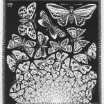 escher_schmetterlinge